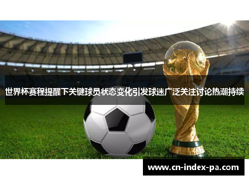 世界杯赛程提醒下关键球员状态变化引发球迷广泛关注讨论热潮持续