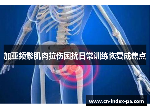 加亚频繁肌肉拉伤困扰日常训练恢复成焦点 加亚频繁肌肉拉伤困扰日常训练恢复成焦点