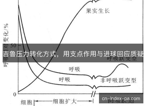 吉鲁压力转化方式,用支点作用与进球回应质疑 吉鲁压力转化方式,用支点作用与进球回应质疑